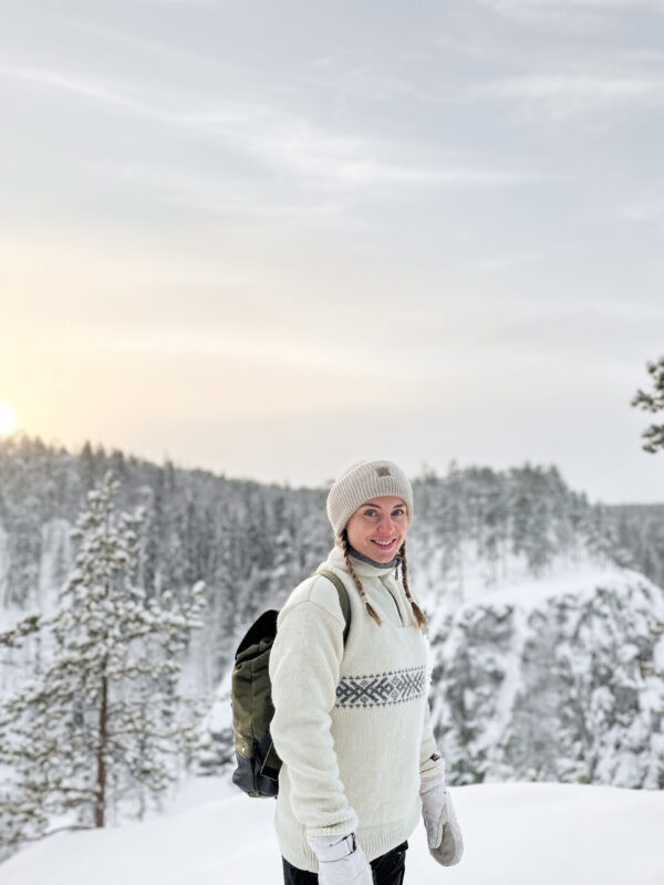 Norwegian Windstopper sweater - Image 4