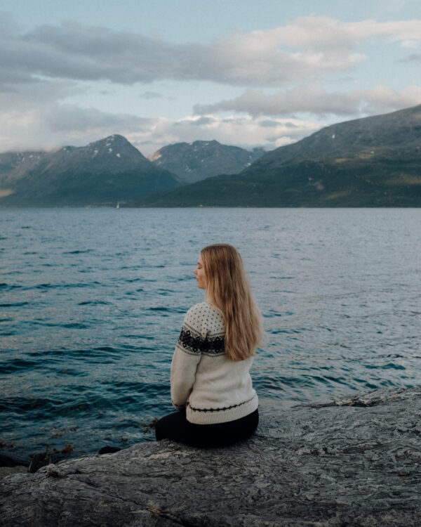 Nordic wool sweater